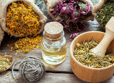 Tıbbi Aromatik Bitkiler